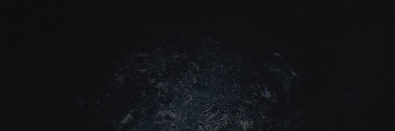 The Little Things: The Missing Performance in std::vector