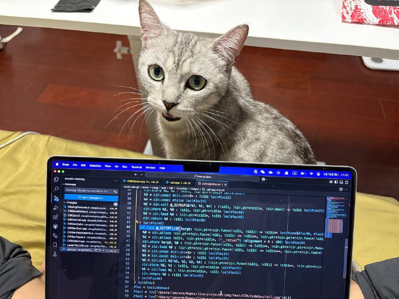 Visual Studio Cat