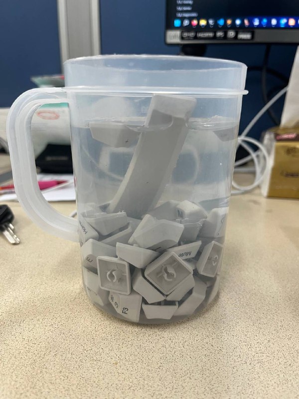 新品
